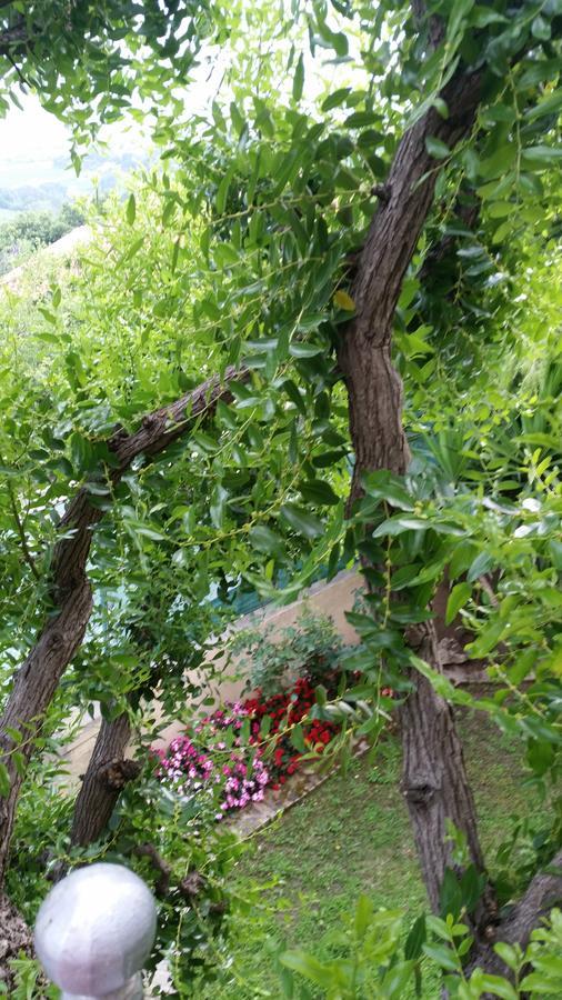 La Maison Jujube Morrovalle Εξωτερικό φωτογραφία